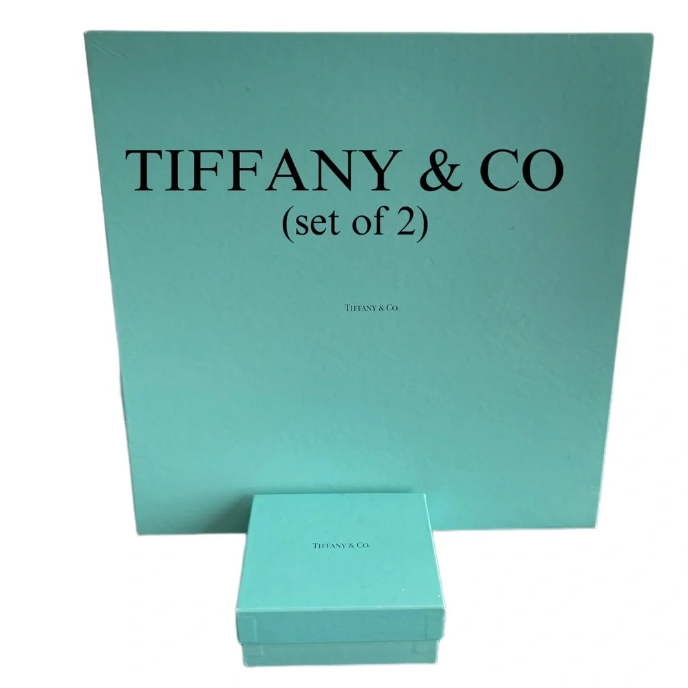 TIFFANY & CO Set of 2 Jewelry Storage Display Boxes